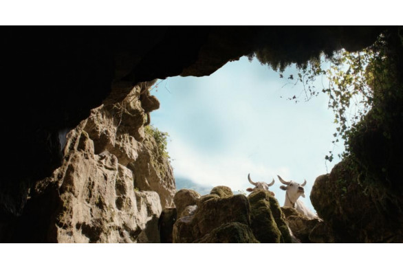 Les horaires de cinéma avec Tendance Ouest