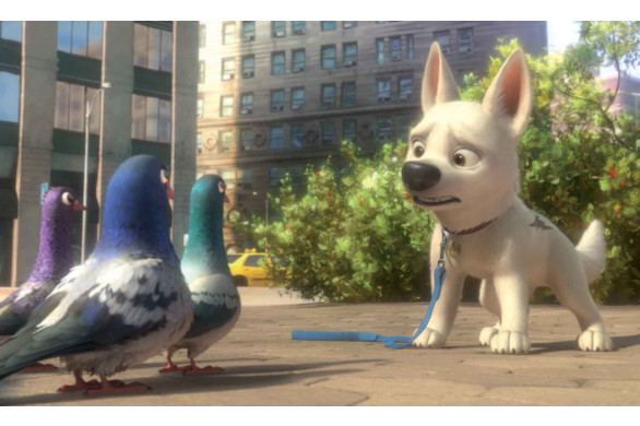 Les horaires de cinéma avec Tendance Ouest