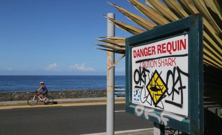 Les Aigrettes (France) (AFP). Requins: nouvelle attaque à La Réunion, un jeune de 13 ans tué