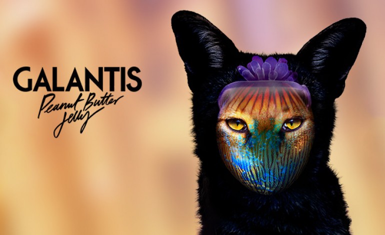 "Peanut Butter Jelly" le nouveau single de Galantis