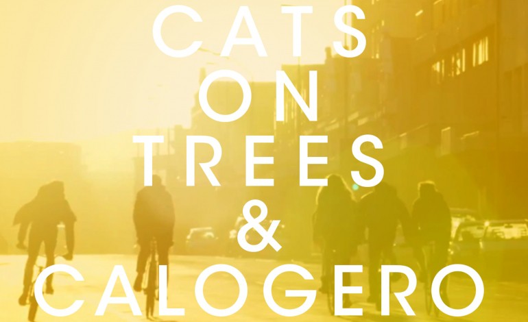 Cats on Trees dévoile un duo avec Calogero : Jimmy