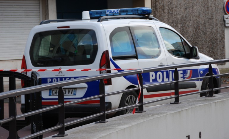 Saint-Etienne-du-Rouvray : après avoir volé une voiture, ils se cachent dans les buissons