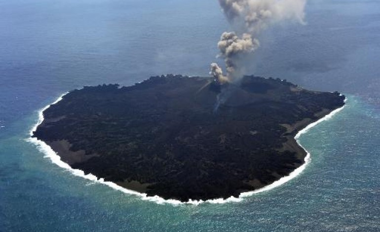 Tokyo (AFP). Japon: une nouvelle île volcanique révèle un laboratoire naturel du vivant