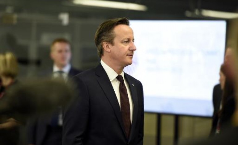 Riga (AFP). Riga: Cameron prédit des hauts et des bas dans la négociation sur l'UE 