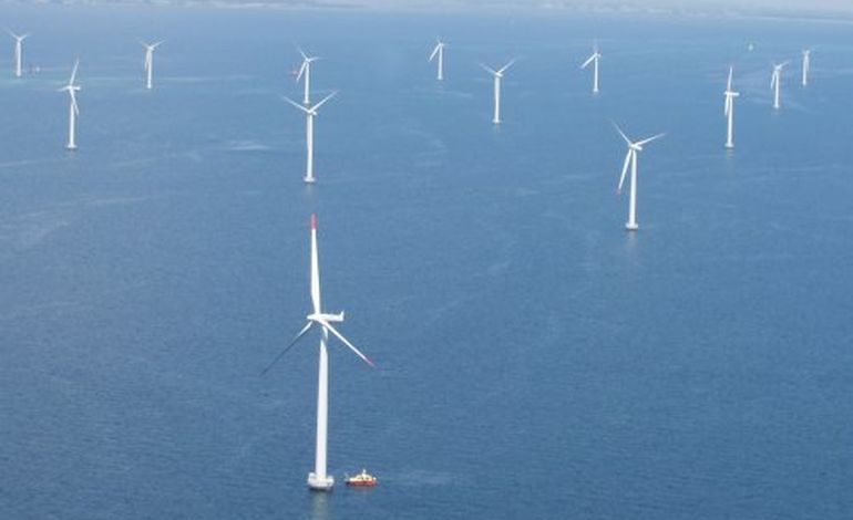 Cédric Nouvelot veut trouver l'équilibre pour les éoliennes offshores