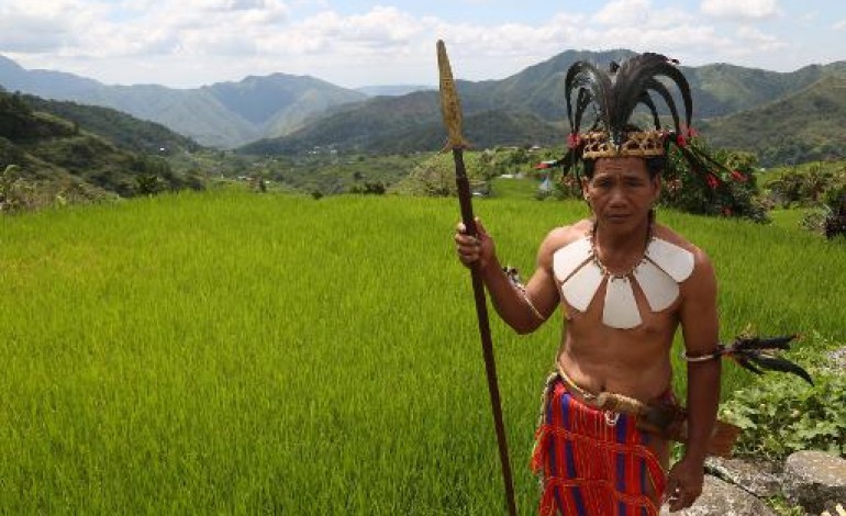 Mayoyao (Philippines) (AFP). Philippines: les rizières en terrasses face aux périls de la modernité
