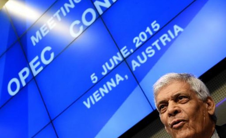 Vienne (AFP). Opep: consensus en vue mais inquiétudes sur les prix