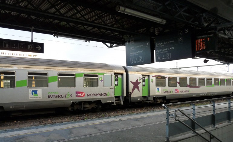 Le train Cherbourg-Paris percute un bovin