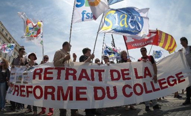 Paris (AFP). Moindre mobilisation pour la deuxième grève contre la réforme du collège