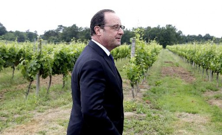 Bordeaux (AFP). Vinexpo: Hollande loue l'excellence de la filière viticole et défend la loi Evin