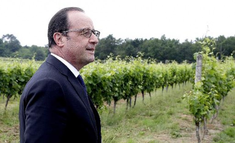 Alger (AFP). Hollande à Alger salue le combat commun contre la menace jihadiste