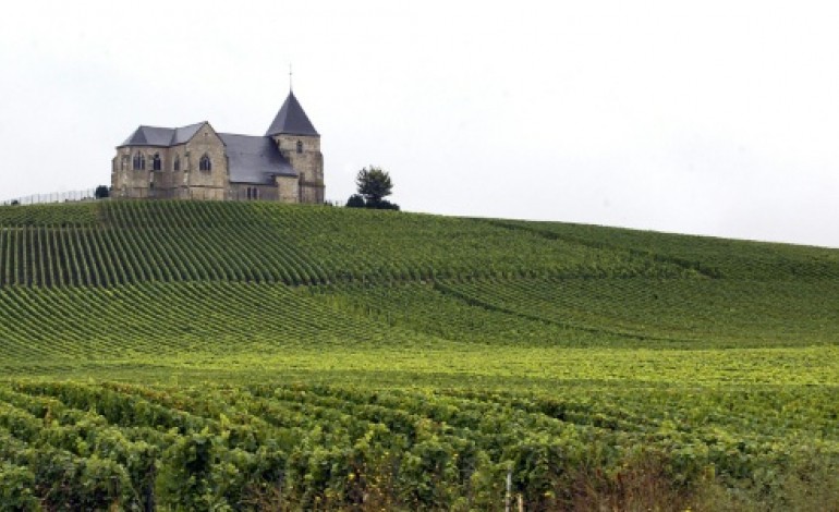 Berlin (AFP). La Champagne et la Bourgogne viticoles inscrites au patrimoine de l'Unesco  