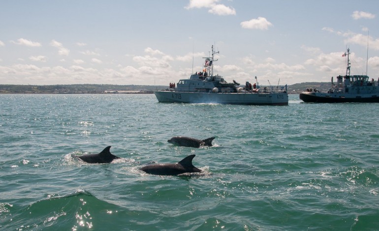 Des dauphins pour accueillir Athos et Aramis à Cherbourg (photo)