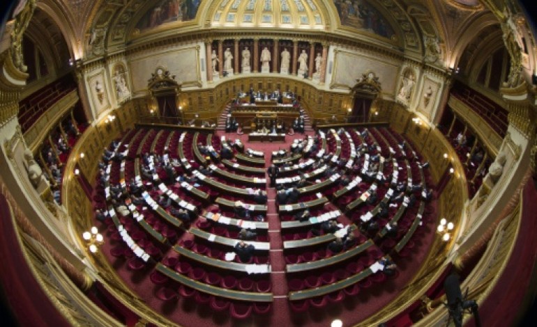 Paris (AFP). Le Sénat de droite modifie en nouvelle lecture le projet de loi transition énergétique