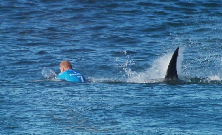Johannesburg (AFP). Surf, requin et caméras, un drame évité en Afrique du Sud 