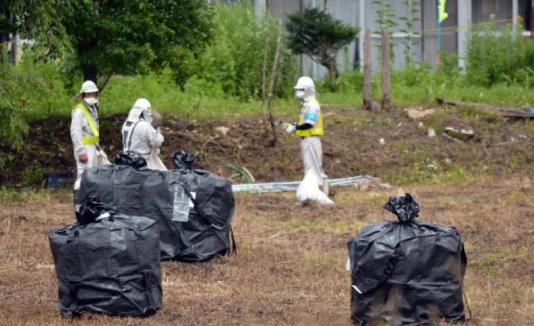 Iitate (Japon) (AFP). Fukushima: décontaminer les régions irradiées, tâche titanesque aux résultats incertains