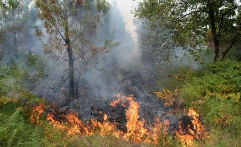 Bordeaux (AFP). Incendie en Gironde: feu stabilisé  près de 370 hectares détruits 