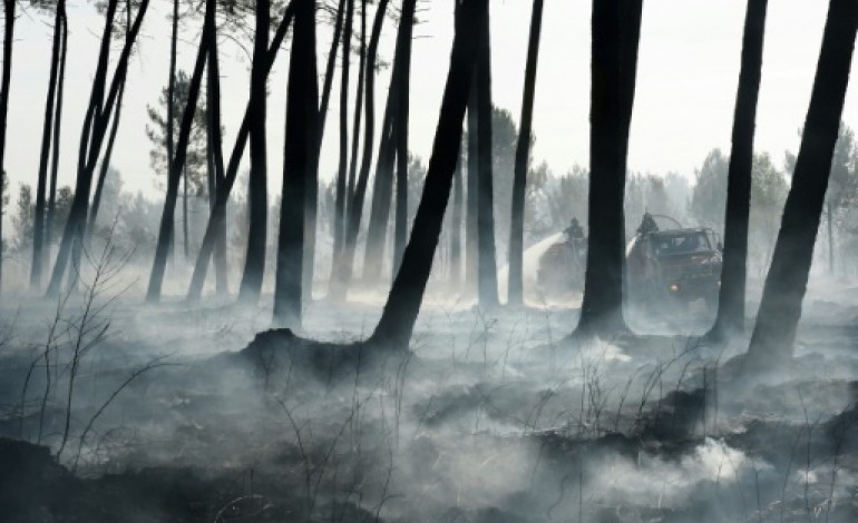 Saint-Jean-d'Illac (France) (AFP). Gironde: le feu continue de progresser au 3e jour, les moyens de lutte renforcés