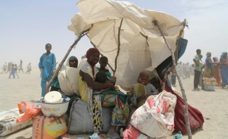 N'Djamena (AFP). L'armée tchadienne lance une vaste opération contre Boko Haram sur le lac Tchad