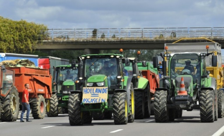 Marciac (France) (AFP). Agriculture: les éleveurs restent mobilisés, Valls attendu dans le Gers