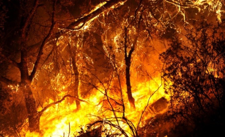 Clearlake (Etats-Unis) (AFP). Plus de 8.500 pompiers sur le front en Californie, dévorée par les flammes