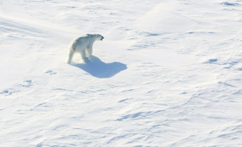 Moscou (AFP). La Russie revendique plus d'un million de km2 dans l'Arctique