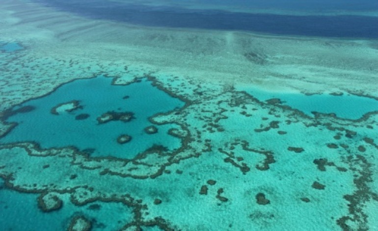 Sydney (AFP). Grande barrière de corail en Australie: la justice bloque le projet minier indien