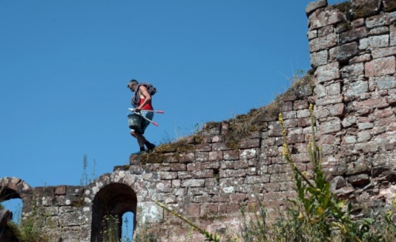 Dambach (France) (AFP). En Alsace, des bénévoles bichonnent les ruines des châteaux forts