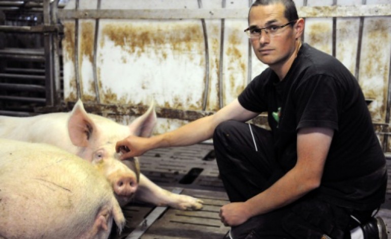 Locronan (France) (AFP). Crise du porc: il renonce à l'exploitation familiale après 5 ans dans le rouge