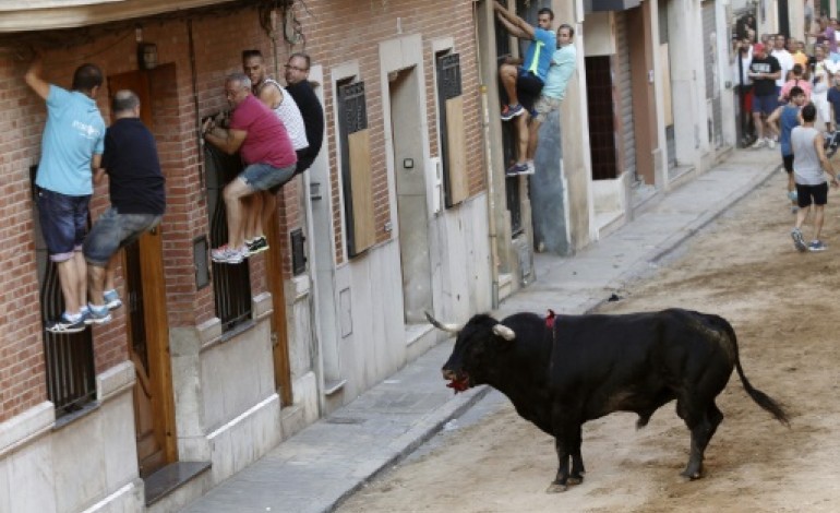 Madrid (AFP). Les lâchers de taureaux en Espagne, passion fatale 