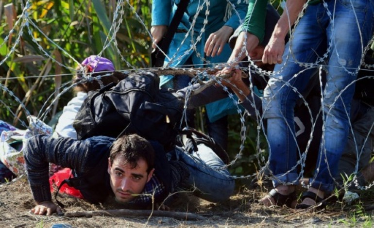 Röszke (Hongrie) (AFP). Migrants: une clôture barbelée hâtivement érigée à la frontière hongroise