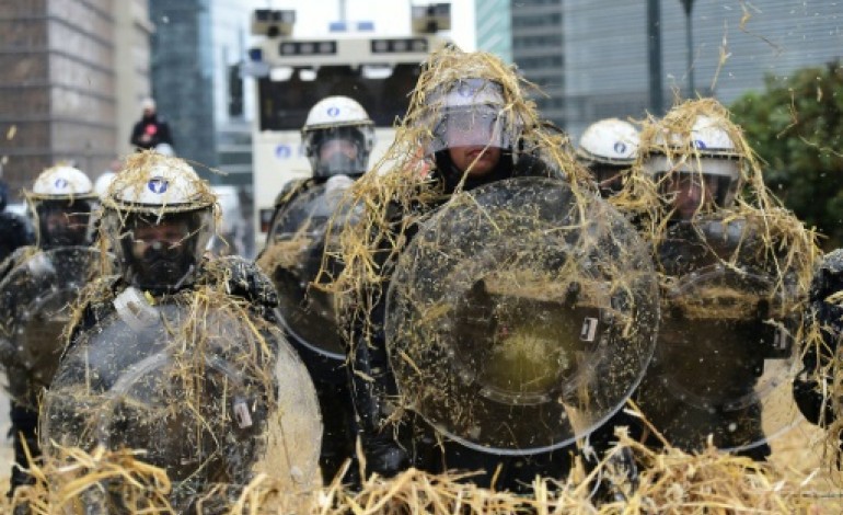 Bruxelles (AFP). Bruxelles paralysée: jour de colère des agriculteurs européens 