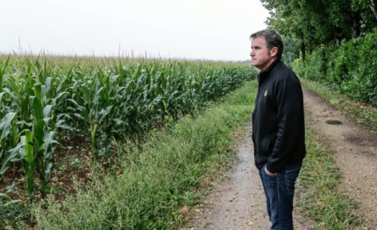 Paris (AFP). Monsanto: victoire du pot de terre contre le pot de fer, se félicite Paul François