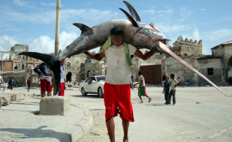 Nairobi (AFP). Somalie: la pêche étrangère illégale menace les stocks et risque de relancer la piraterie