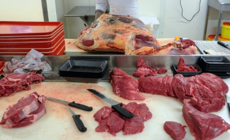 Paris (AFP). La viande accusée de favoriser le cancer: les professionnels ripostent