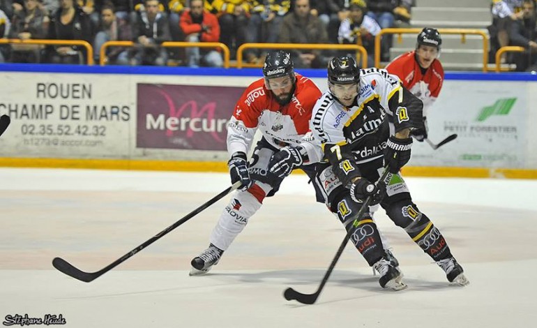 Hockey: la Continental Cup by Matmut, ça commence à Rouen !