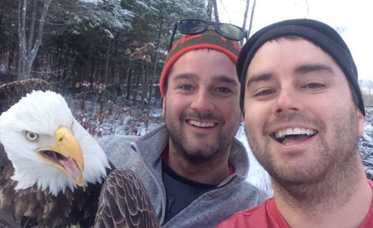 Ils sauvent un aigle d'un piège, l'oiseau pose en selfie avec ses sauveteurs.