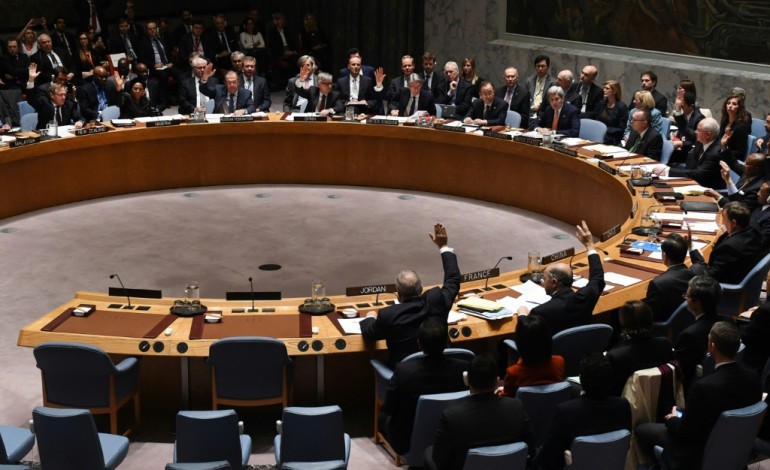 New York (AFP). Syrie: l'Onu adopte à l'unanimité une résolution sur un plan de paix