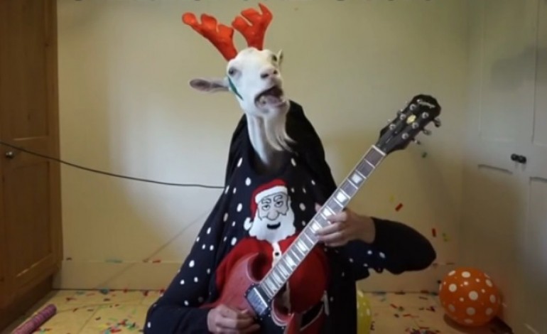 VIDEO - Une chèvre vous souhaite un joyeux Noël !