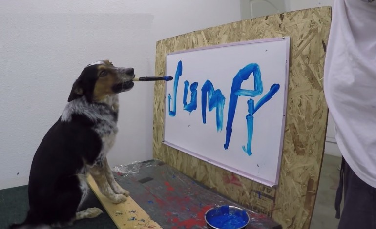 VIDEO - Ce chien sait écrire son prénom.