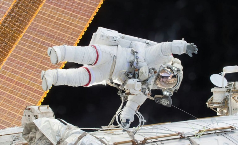 Washington (AFP). Un astronaute de l'ISS dévoile la première fleur cultivée dans l'espace 