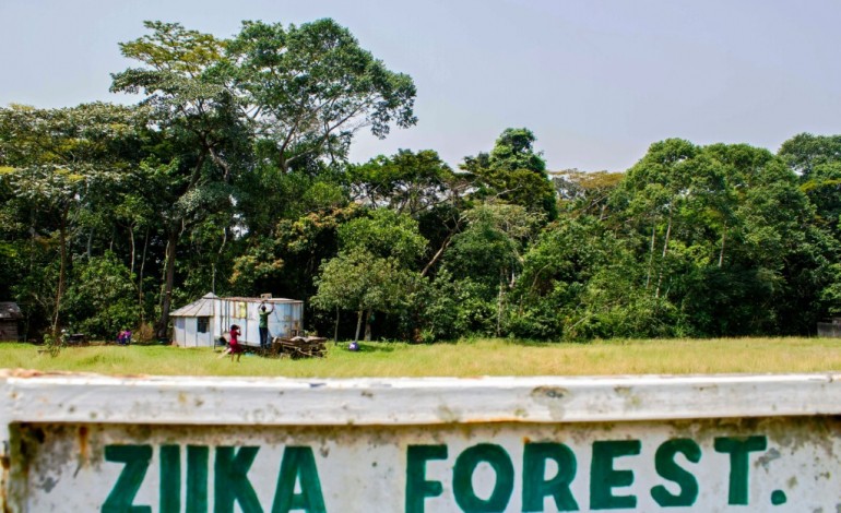 Zika (Uganda) (AFP). Zika : la soudaine notoriété de la forêt d'Ouganda où le virus a été découvert
