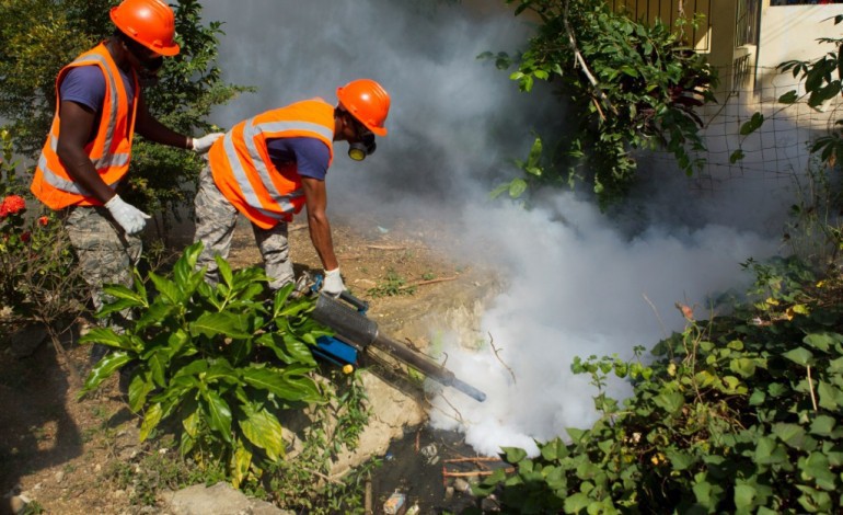 Genève (AFP). Zika: réunion d'urgence de l'OMS