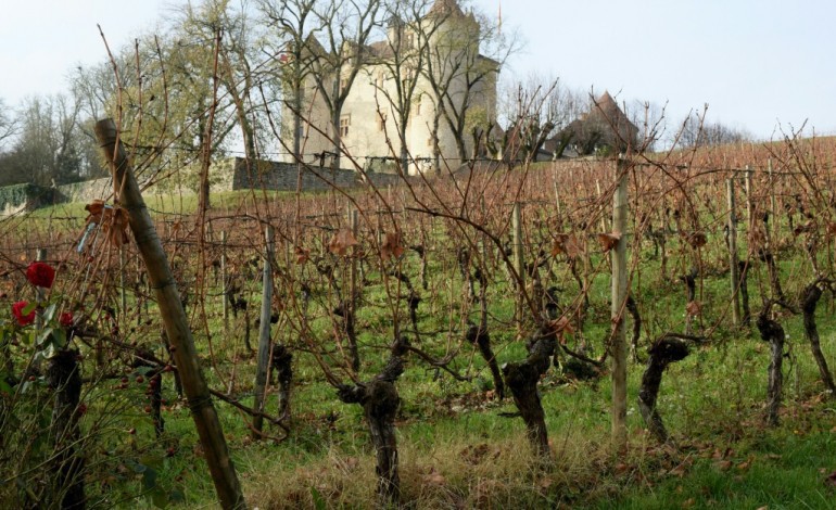 Prayssac (France) (AFP). Des Argentins aux Chinois, la ruée vers les vignobles de Cahors en France