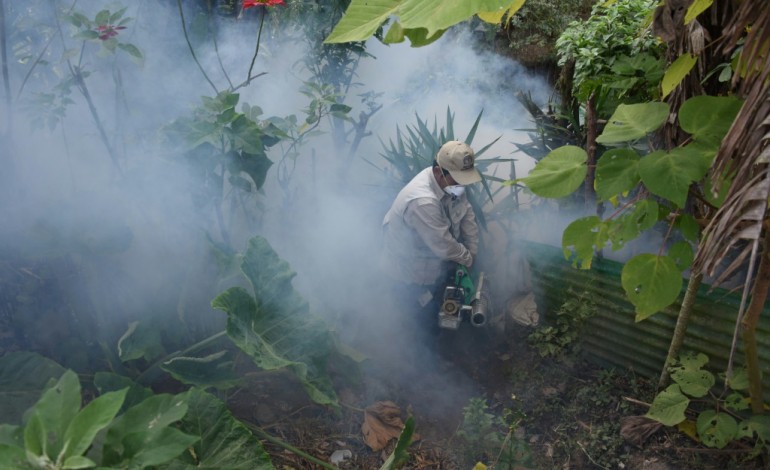 Bogota (AFP). Virus Zika: 22.612 cas en Colombie, forte hausse des cas de Guillain-Barré