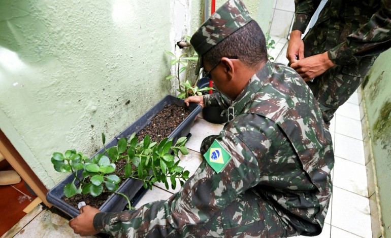 Sao Gonçalo (Brésil) (AFP). Brésil : de pot de fleurs en pot de fleurs, l'armée traque le moustique du Zika 