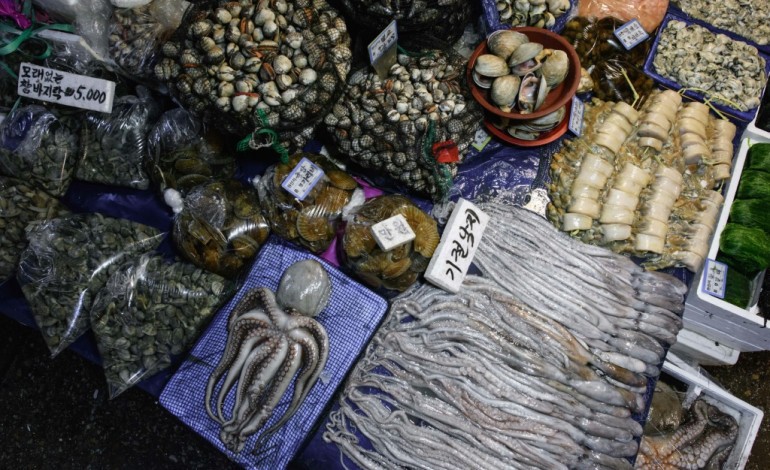 Séoul (AFP). Le marché aux  poissons de Séoul refuse la gentrification