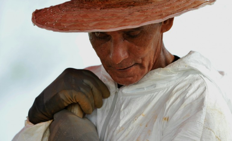 La Macarena (Colombie) (AFP). En Colombie, un croque-mort aide à identifier les disparus de la guerre