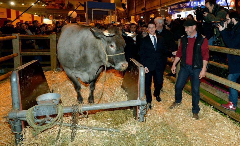 Paris (AFP). Ambiance tendue pour la visite de Manuel Valls au Salon de l'agriculture