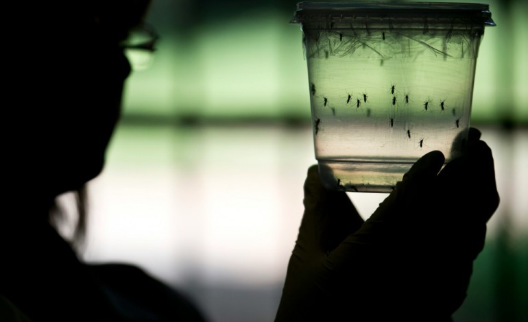 Paris (AFP). Zika peut aussi atteindre la moelle épinière et provoquer une myélite